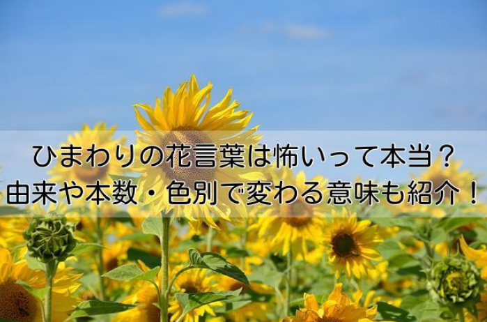 金木犀の花言葉には怖い意味がある 由来と香りや魔除けの効果を紹介 イチケンナビゲートブログ