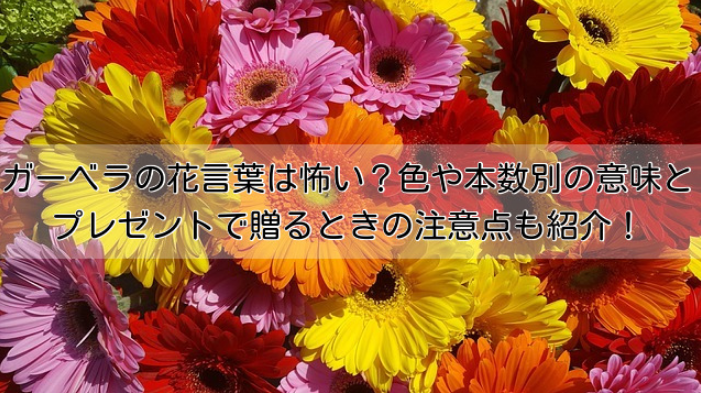 金木犀の花言葉には怖い意味がある 由来と香りや魔除けの効果を紹介 イチケンナビゲートブログ