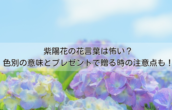 紫陽花の花言葉は怖い 色によって変わる意味とプレゼントで贈る時の注意点も イチケンナビゲートブログ