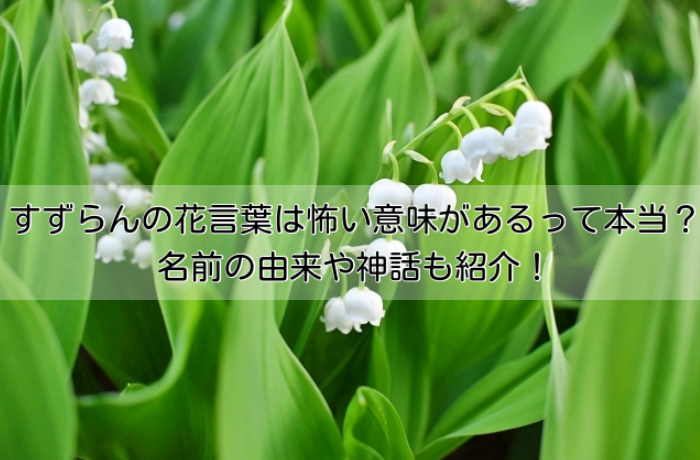 すずらんの花言葉は怖い意味があるって本当 名前の由来や神話も紹介 イチケンナビゲートブログ すずらんの花言葉は怖い意味があるって本当 名前の由来や神話も紹介 イチケンナビゲートブログ